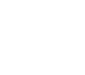 Elefante